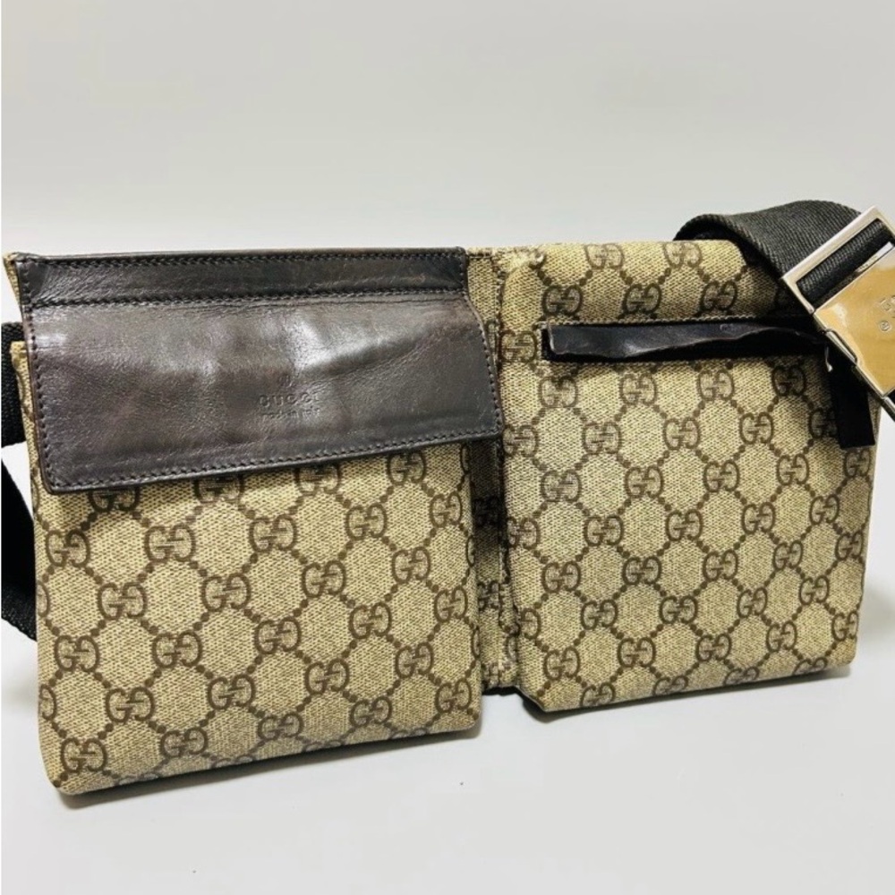 Gucci Beige and Dark Brown Belt Bag - Picture 1 of 10